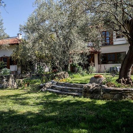 Piges Villa Milina Exterior photo