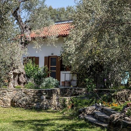 Piges Villa Milina Exterior photo