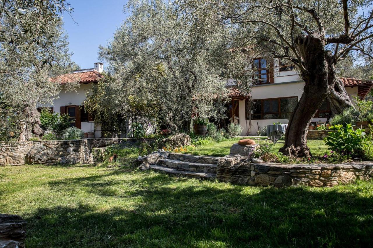 Piges Villa Milina Exterior photo
